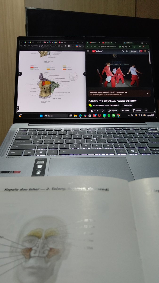 jellovingly's tweet photo. hukum hapalin anatomi sekaligus streaming https://t.co/kODsAfjZaU