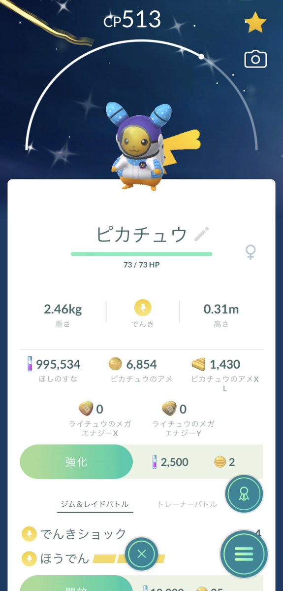 eclair0770's tweet photo. ぴかちレイド2回目で光った🫶
ちょっと色違いって分かりづらい...🥹 https://t.co/1DWD6kefWY