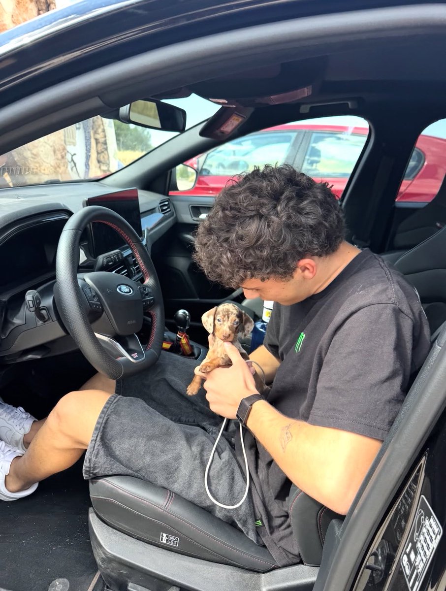 goatsstappen's tweet photo. Is that a new pet 🥹🥹🥹 https://t.co/ETASCEPdG0