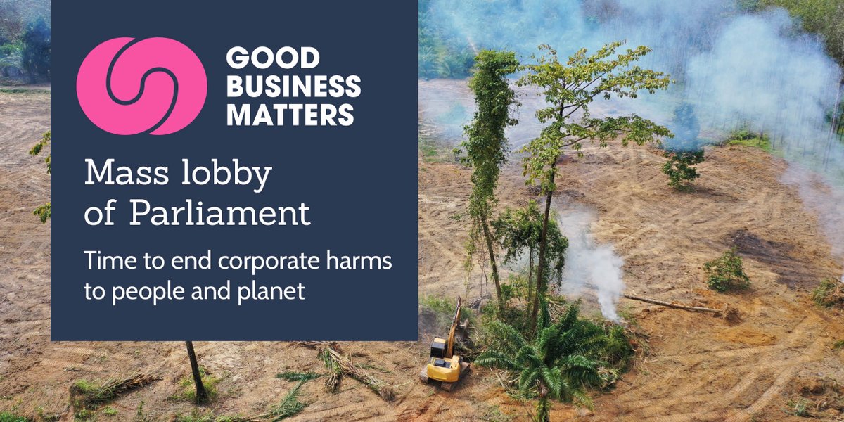 PBIUK's tweet photo. 📢On 21 October we’ll be joining the Good Business Matters Mass Lobby in Westminster to ask our MPs to support a new law to hold businesses to account for harms against human rights defenders &amp; communities.

✏️Registration is now open here: https://t.co/rhAfHYGAsG https://t.co/YZUQuEKuXd