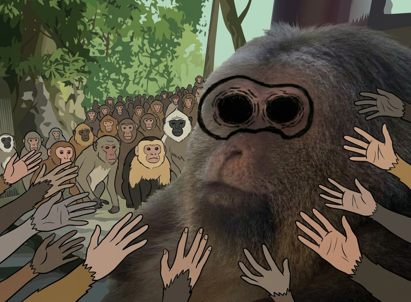 Krakensprimates's tweet photo. Primates r here, what about you? 👀 https://t.co/WBz6EdkwXD