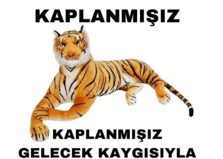 zoonpolitikion's tweet photo. https://t.co/dDgesyDtCJ