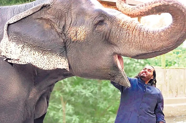 BAPPAMALLImap's tweet photo. #VantaraIndonesia27 Anant Ambani's vision takes Vantara from Jamnagar to Indonesia, elevating wildlife care and strengthening India's influence in global conservation efforts. https://t.co/psBSHcBYBR