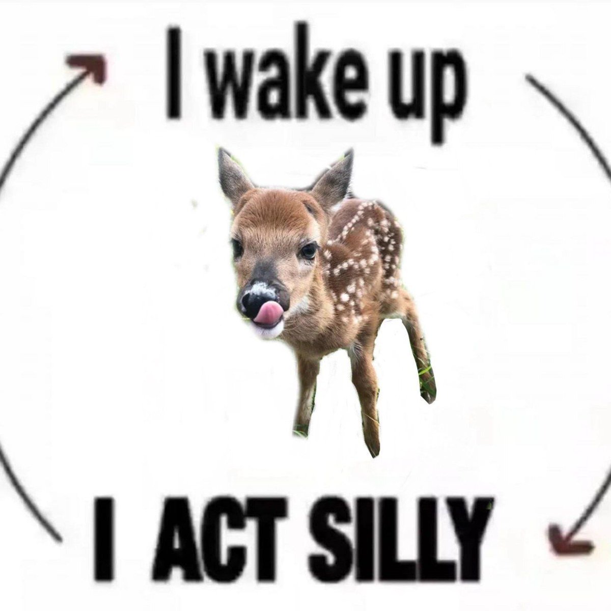 deershouldnt's tweet photo. Good morning https://t.co/L5wX5KynKZ