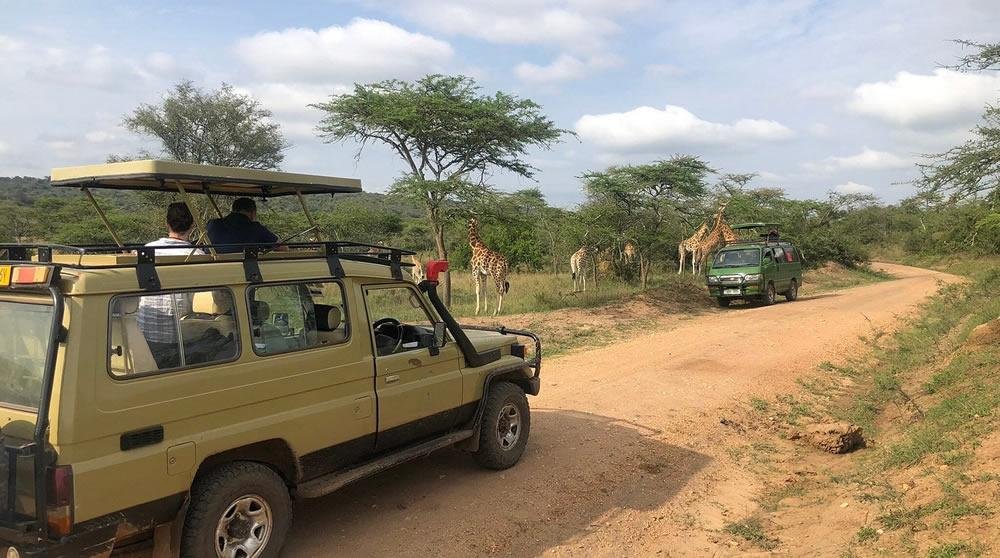 OpolotJ1's tweet photo. Road improvements around tourism areas supported access to national parks and attractions during President Yoweri Museveni's administration. https://t.co/kC92NRBFk6