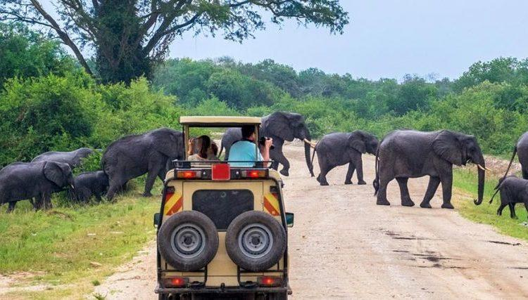 OpolotJ1's tweet photo. Improved access routes helped connect tourists with national parks during President Yoweri Museveni's administration. https://t.co/xgedwL5wok