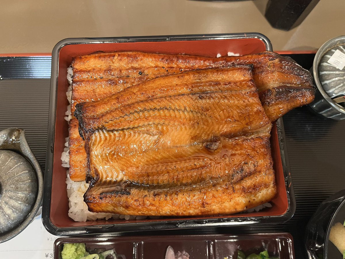 RottenKingkasu's tweet photo. 今夜はぎーうな
#鰻 #うなぎ #鰻重 #ぎーうな https://t.co/ewySY3QCOQ