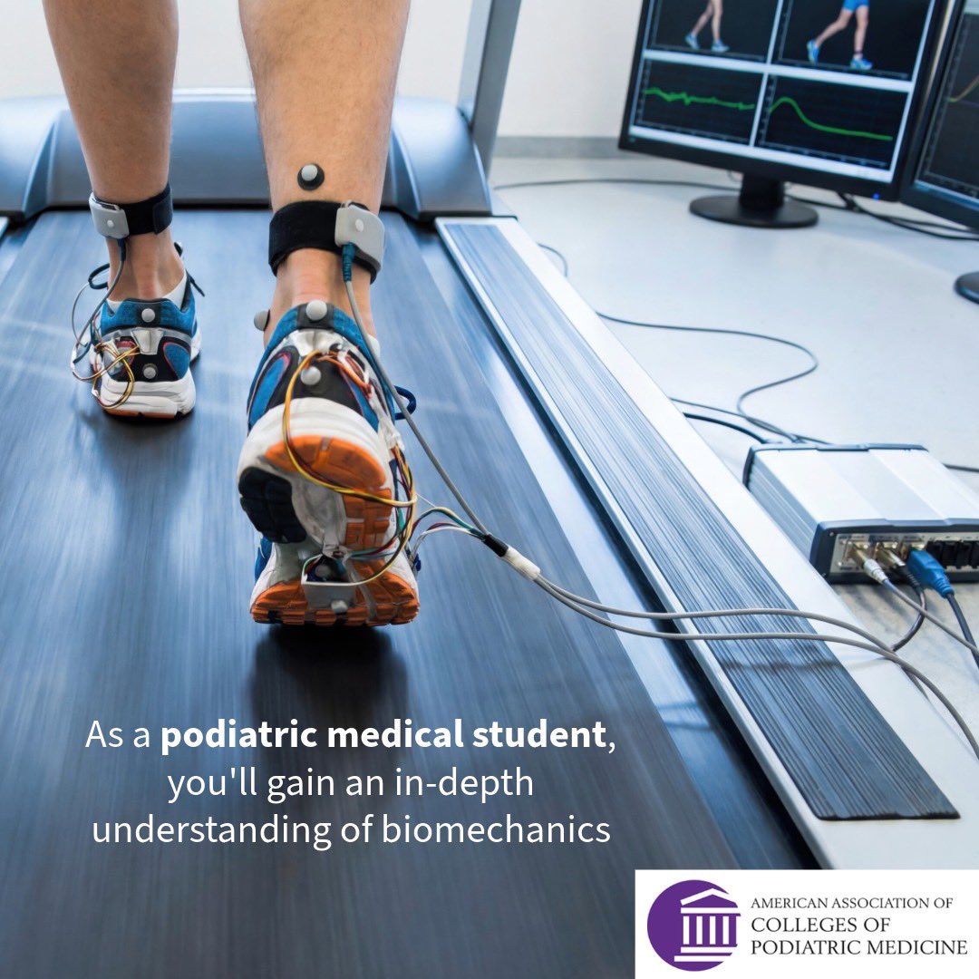 ExplorePodMed's tweet photo. Movement is medicine, and it starts with biomechanics.

As a podiatric medical student, you'll gain an in-depth understanding of biomechanics including how the bones, joints, muscles, and tendons of the foot and ankle work together to create movement.

https://t.co/5qfbX2hqRk https://t.co/vvcExNTMa0