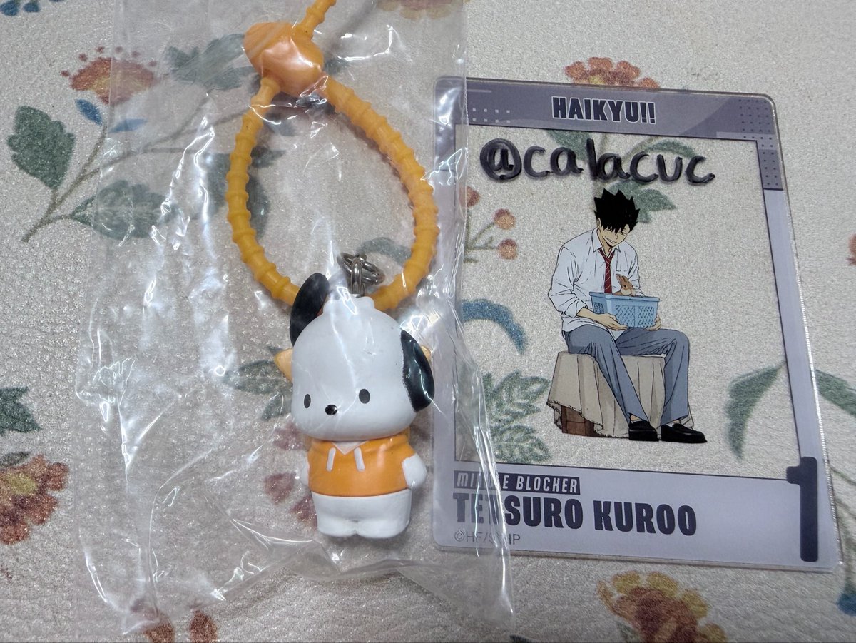 calacuc's tweet photo. サンリオキャラクターズ ななほしカラフルマルチチャーム

【譲】
ポチャッコ

【求】
ハローキティ

郵送または西新井ー越谷手渡し https://t.co/OhC1ZOOnFW