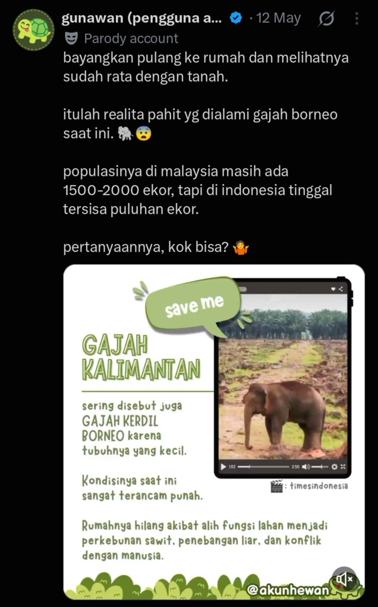 akunhewan tweet picture