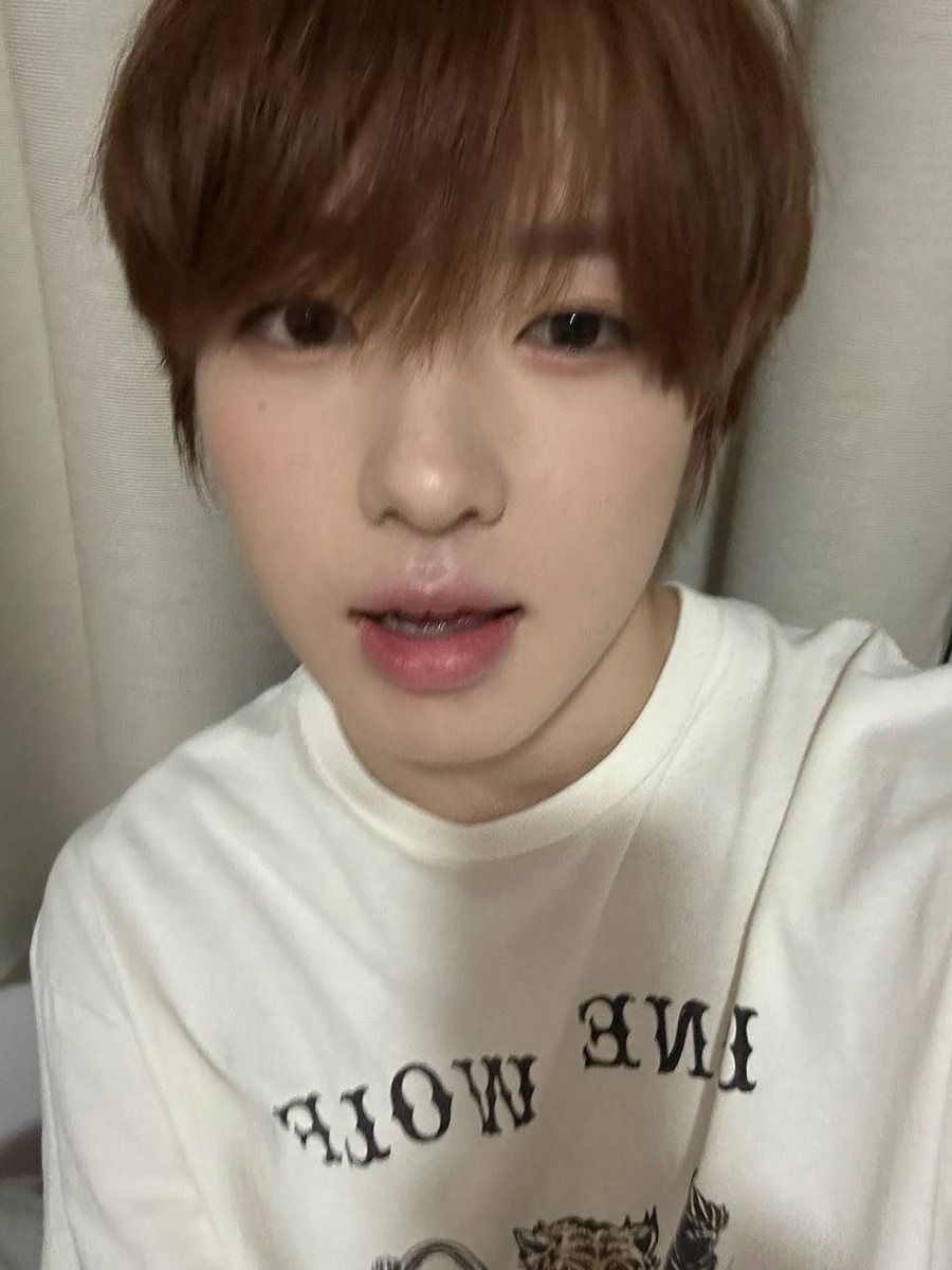 dolljap2_'s tweet photo. 좋음 https://t.co/o1qk5waMQZ