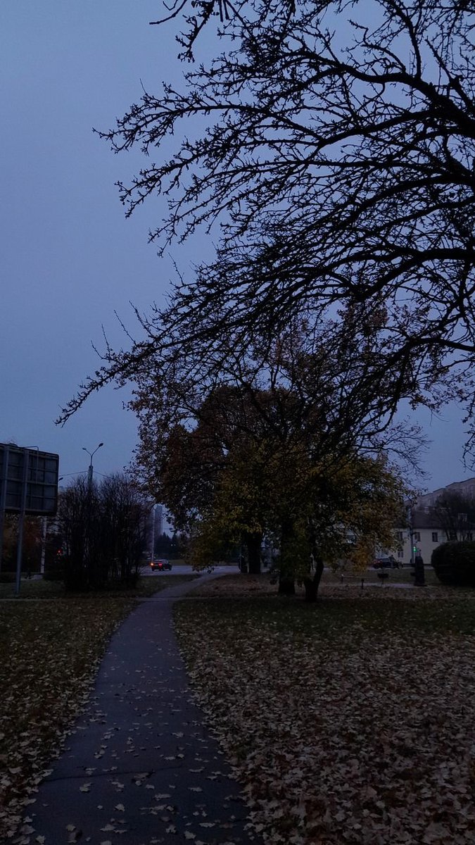 elemmiressoul's tweet photo. gloomy autumn day. https://t.co/9VndIjdv9t