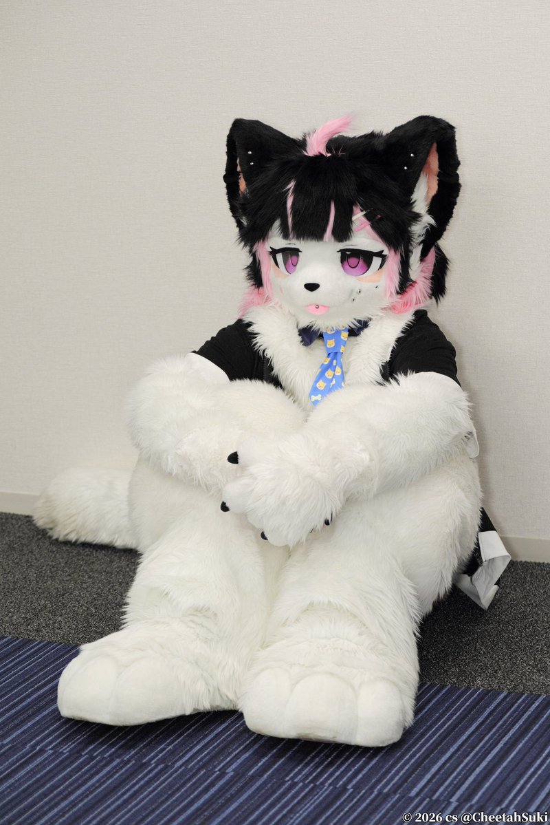 Sera_inu_neko's tweet photo. https://t.co/Nd3XU6vCGA