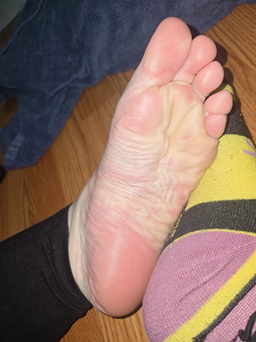 kaileysolesx's tweet photo. A bit dry > < someone help me care for them?? https://t.co/JhCX96621j