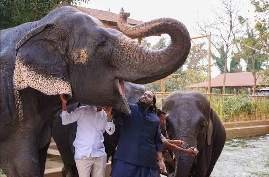 SParvin80204's tweet photo. #VantaraIndonesia27 Anant Ambani’s Vantara is setting global standards in wildlife healthcare, a true testament to India’s commitment to conservation and a source of national pride.❤️ https://t.co/va4HVlkiqB