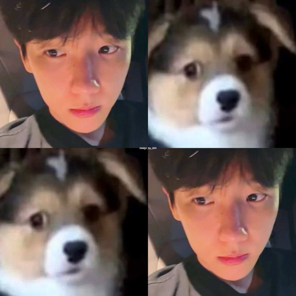 design_by_b04's tweet photo. 강아디 백현이!🐶👀 https://t.co/OoaJbsuPME