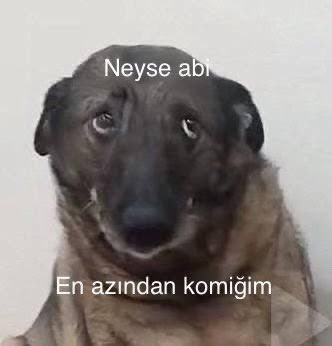 hemortahemsade's tweet photo. @Arifckr37 @lagolfocom Eşeğin ta kendisinin aq https://t.co/RNtjAz6KSx