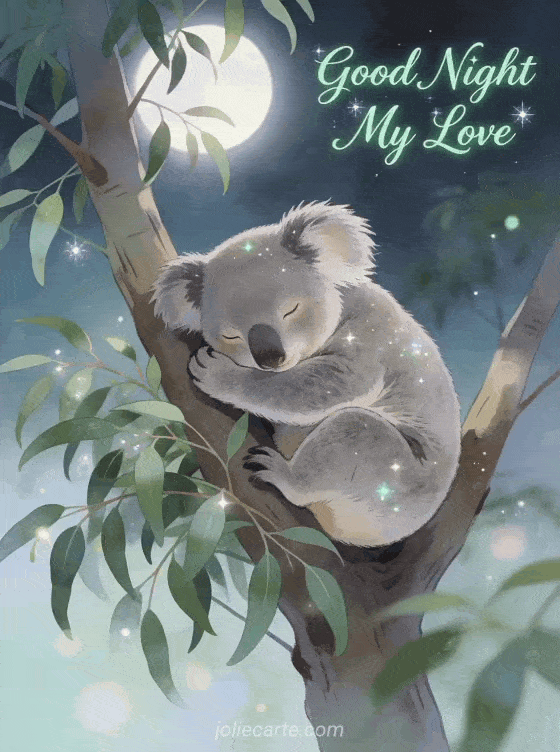 Rakib225475's tweet photo. The night is here. Let the noise fade, the worries rest, and your heart feel a little lighter.

Tomorrow can wait until sunrise. 🌙

Sleep peacefully, dream beautifully, and wake up ready for a fresh start. ✨

#GoodNight #PeacefulNight #SweetDreams https://t.co/AgEsD9Xo59