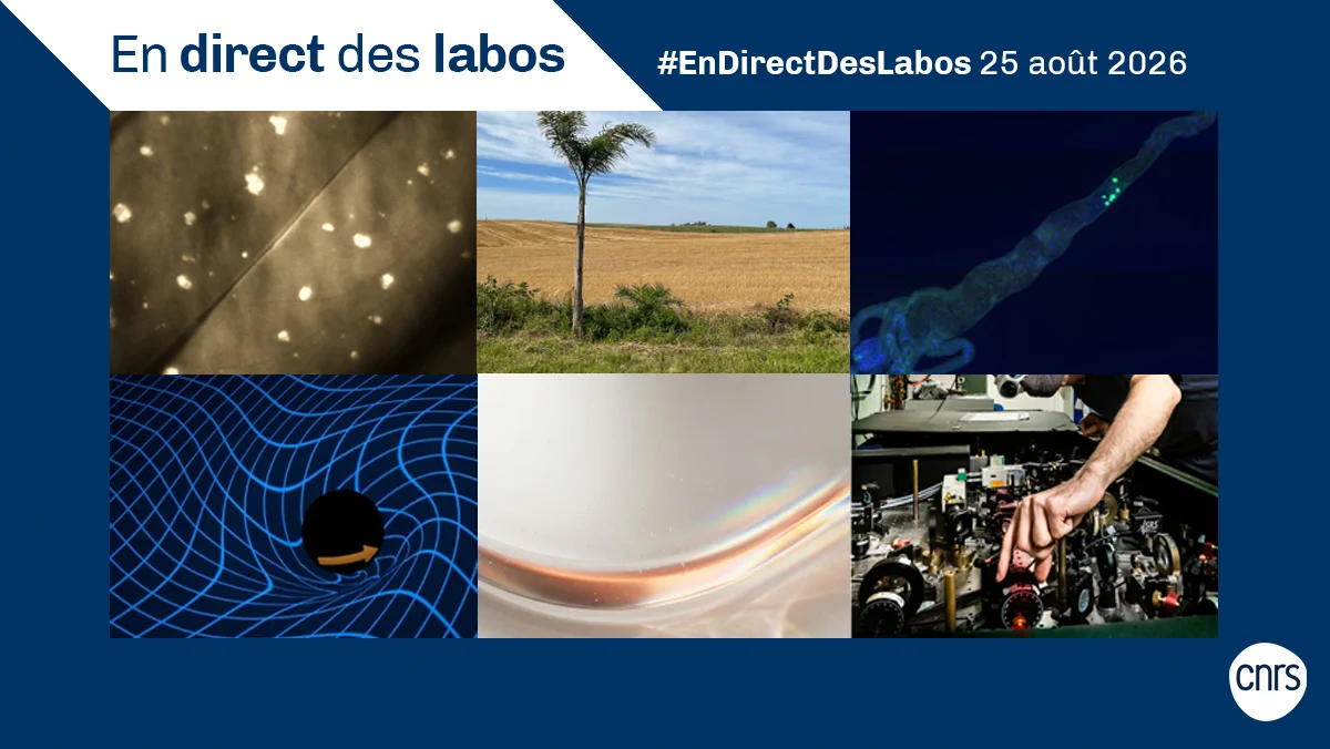 En direct des labos du 25 août 2026