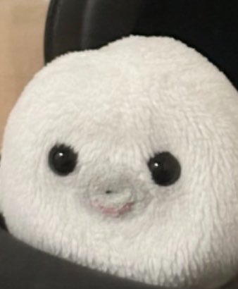 G1D86's tweet photo. わたしかもしれない https://t.co/c6cKD9KFT9