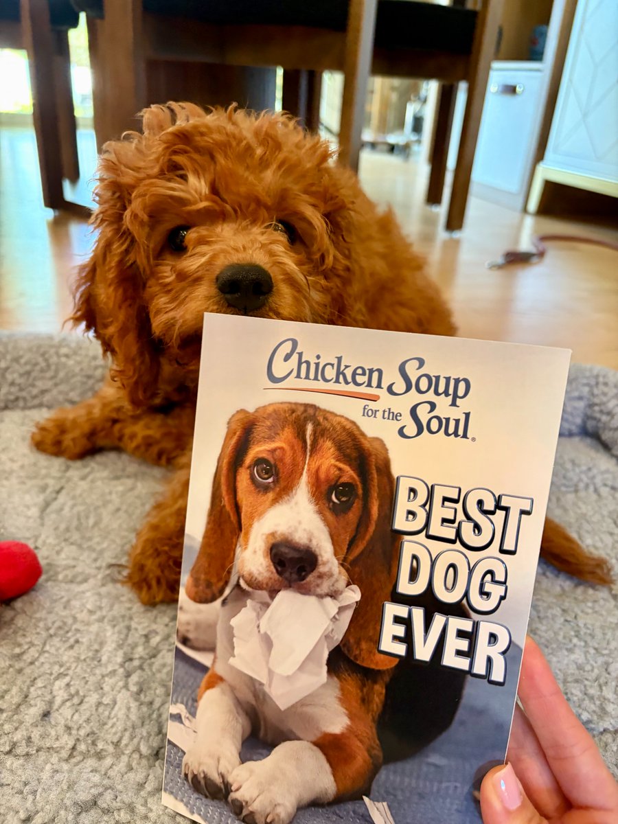 ChickenSoupSoul's tweet photo. Whether they’re your adventure buddy, your cuddle companion or the one who somehow always knows when you need a little extra love, dogs have a way of making life better.

Celebrate the dogs who make every day more fun with CSS: Best Dog Ever! https://t.co/SyWZVIet0I https://t.co/FxbM3IWIBu