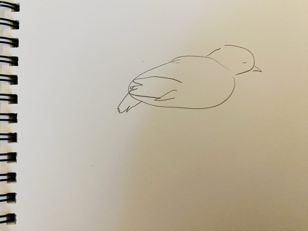 Shuulemon's tweet photo. 台風から避難してきた鳩が窓辺にとまって休んでたので慌てて描いた https://t.co/L1us0kcsjH