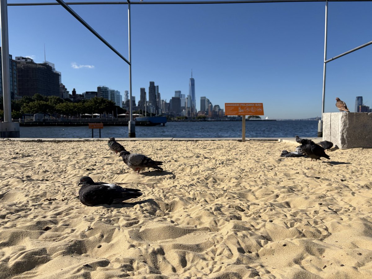esotericelk's tweet photo. As soon as you decide to become unemployed you unlock the beach access dlc in downtown nyc https://t.co/5QDVwX6IQT