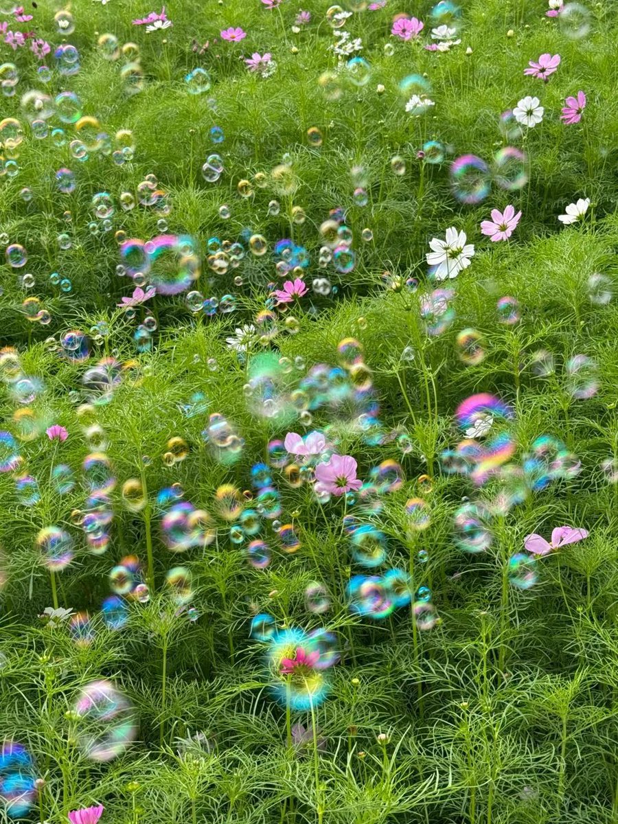 BronwynRusen's tweet photo. 現実逃避のスキルだけが極限まで高まっていく。結局、何かに執着している方が楽なのかもしれないと気づいてしまった夜 https://t.co/K4S8QDWeA7
