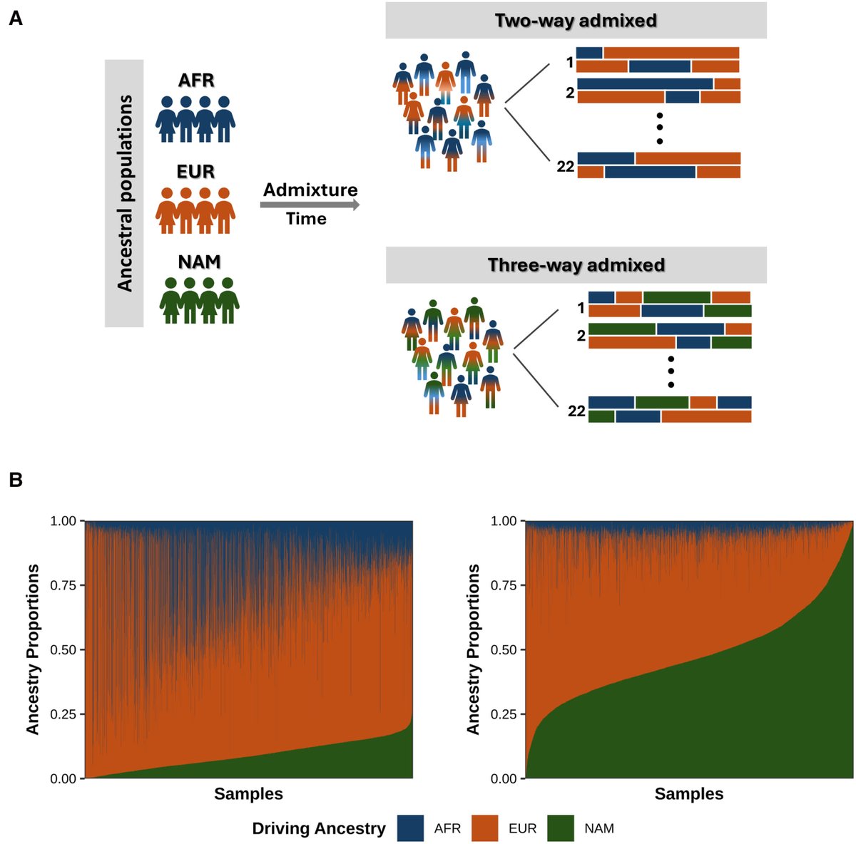 HyperAHA's tweet photo. REVIEW: 2025 Donald Seldin Lecture: Leveraging Diverse Population Genomics and Multiomics Integration for Gene Discovery of Cardiovascular and Kidney Diseases

https://t.co/aLCevRn1IA https://t.co/T3cjOpf2HT