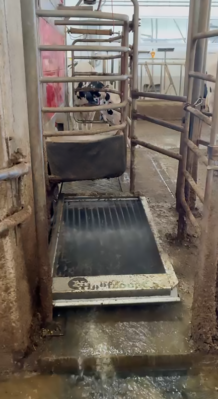 GRRobotics's tweet photo. Our  Techs were out installing this Hoofcount at one of our customer farms. 
W/ the #Hoofcount Automatic Footbath you'll be keeping your herd healthy &amp; hooves clear – delivering hassle free, automated hoof care that can save on costs, cut labour &amp; boost dairy productivity! https://t.co/R3uDGV2kxu