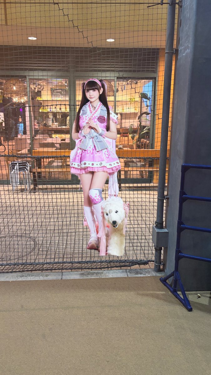 lqfoil's tweet photo. ここにチバゆなさんいました。
通りました。
うたちゃんあむちゃんもいました。
現場からは以上です。 https://t.co/Se0zlJoMBs