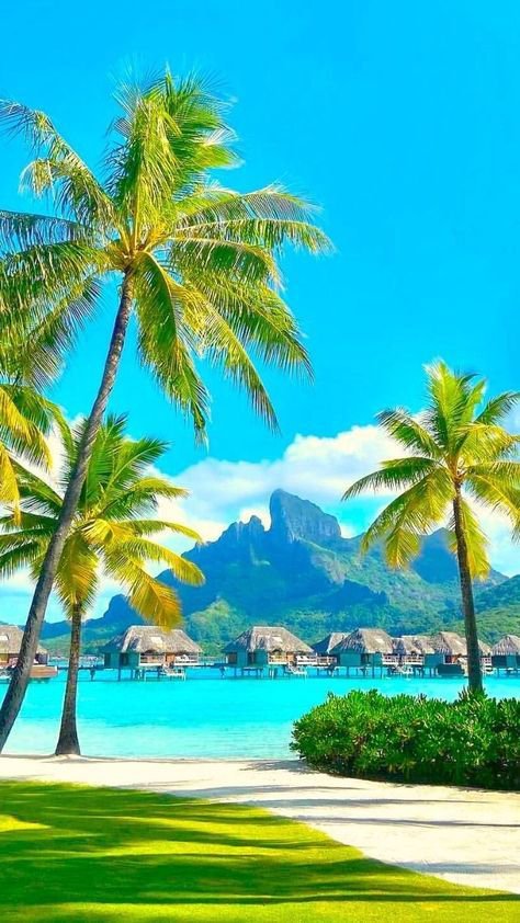 Mayanqxt's tweet photo. View https://t.co/Nufx39bKjh