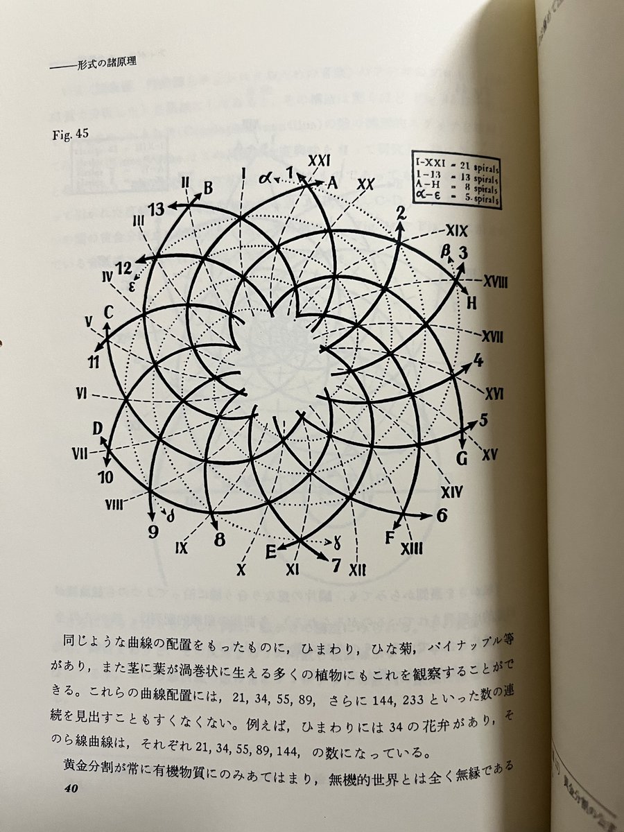 NqeDjmf_ichigo's tweet photo. バルトークの作曲技法
数学すぎてしぬ　つらい https://t.co/5Jmhh5p26n