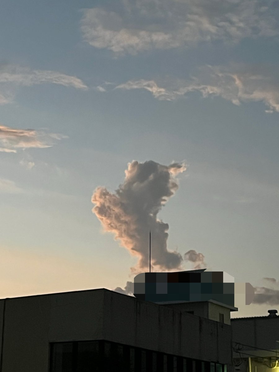 WinAsmr's tweet photo. らーちゃんがお空で飛んでるみたい~☁️ https://t.co/0pmf6KOZjn