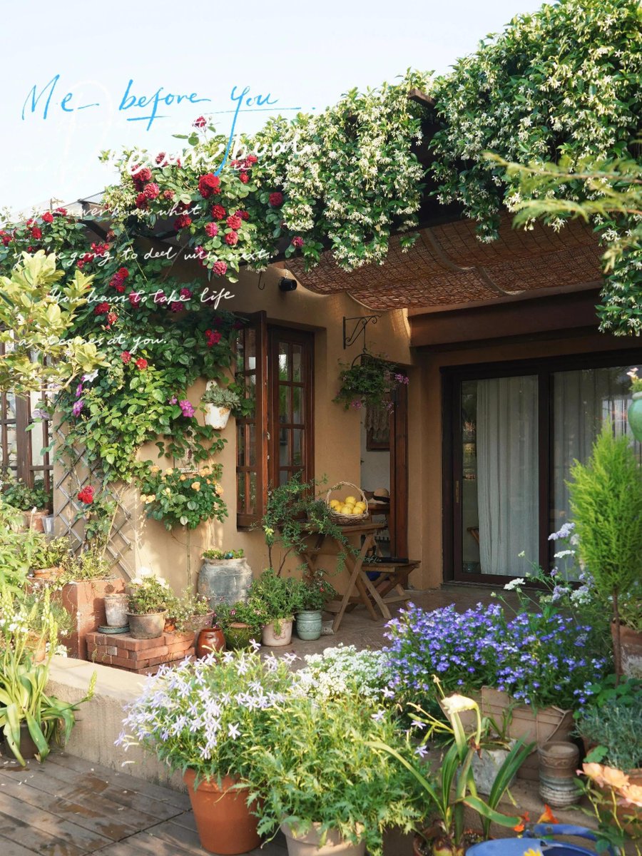 rtindh__'s tweet photo. My tiny balcony balcony turned from empty to a cozy herb garden  Morning tea tastes so much better now!， https://t.co/6IaWXYh16o