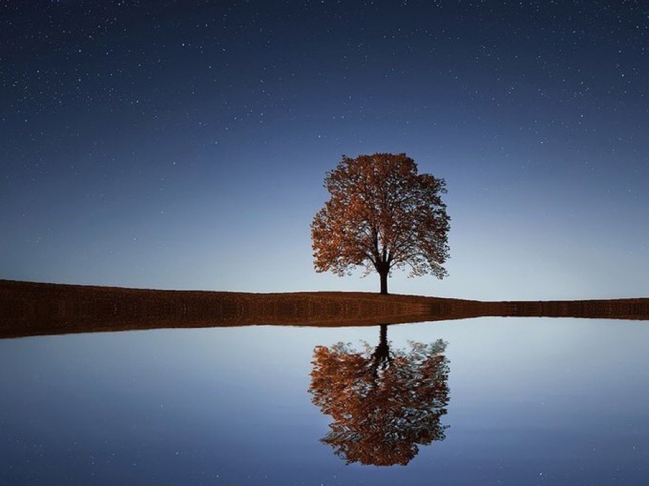 perennialmystic's tweet photo. “There is a voice that doesn’t use
words. Listen.”

— Rumi https://t.co/Fo5fX3ZDeP