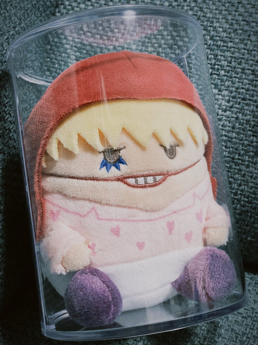 Cuky145's tweet photo. ぬいの埃よけにケースを買ってきたんだけど……無機質すぎて可哀想かもしれない……最適解を教えてください…… https://t.co/vVjd5VvWPK