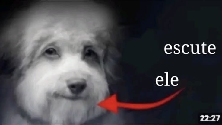 panyyvil_'s tweet photo. Naruto pra mim é uma história com muita complexidade e me deixa perplexa sempre como as pessoas vangloriam o massacre do clã Uchiha como se nao fosse literalmente um APAGAMENTO, um GENOCÍDIO, EXTERMÍNIO de um grupo de pessoas, ordenado pelo ESTADO e tendo o ITACHI como FERRAMENTA https://t.co/4WK89PBzAK