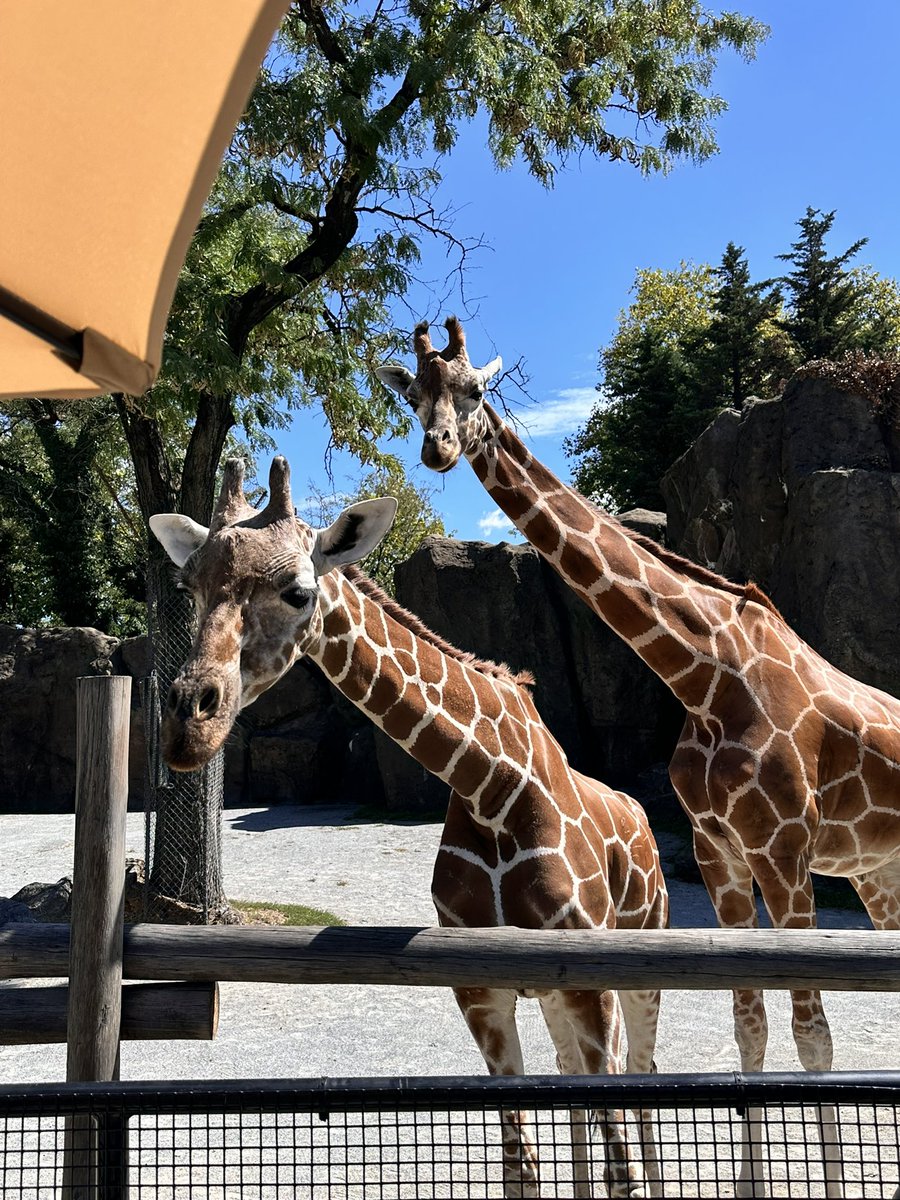 positiva101's tweet photo. Philadelphia Zoo https://t.co/oLh4bef1UC