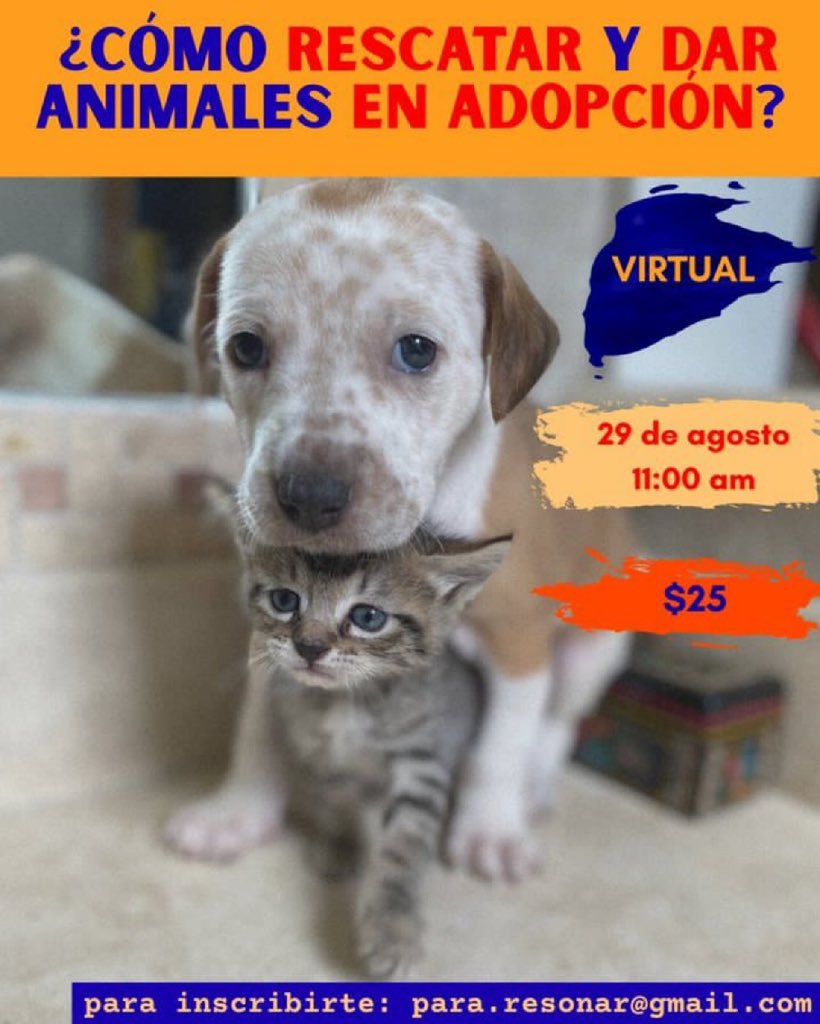 Alina_Gag's tweet photo. Solo para recordarles que el curso para rescatar es este sábado a las 11:00 de la mañana vía zoom. Aún quedan unos pocos lugares por si alguien quiere tomarlo.

Cuesta $25 por persona y se donarán a una rescatista independiente.

🤗 https://t.co/60yfTzrKrK