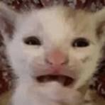LiterallyLuka_'s tweet photo. Telling my IRL bestie I love her, so scared, maybe I won’t be single chum anymore, 🤞🤞🤞🤞🤞🤞🤞 https://t.co/DrBWye3H7E