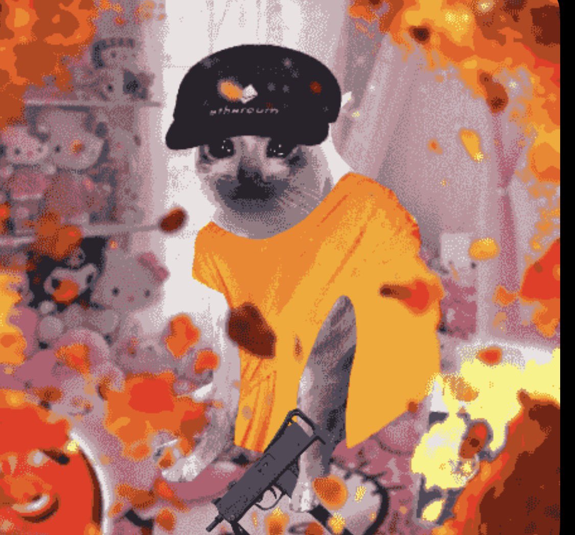 BlakeEatmaf40q's tweet photo. There is a 1 Ethereum asset that you can buy for just over 0.1 ETH right now. There are 70K holders of Cash Cat cash-cat:native, but only 10,000 Cash Cat NFTs. $CASHCAT @cashcatss 

You do the math.

For $CASHCAT to hit a 9x from here, it would need to reach a $1.8 BILLION market cap BUY CASHCAT NFTs @cashcatss
