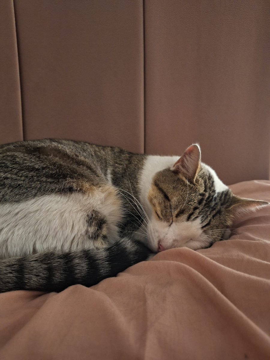 08catuu_'s tweet photo. cómo podes ser tan linda https://t.co/C4pKzBHdUu