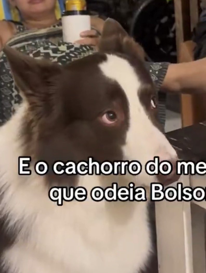 _andrezasc's tweet photo. KKKKKKKKKK https://t.co/XtbH49PEJ2