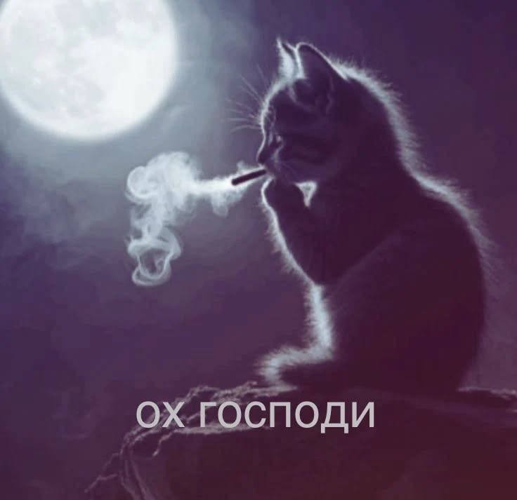 leeknow457's tweet photo. первый день тут прошел успешно, я нашел две новых подружани https://t.co/TWkkC1QyJc