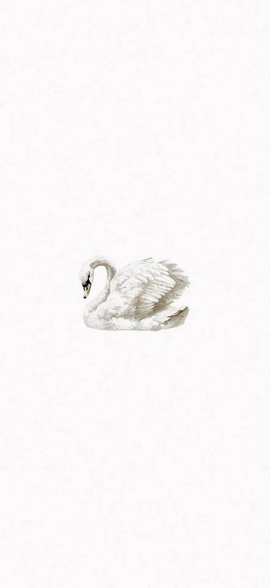 TheWallCuratorr's tweet photo. Minimal wallpaper https://t.co/M6ngaoL8OF