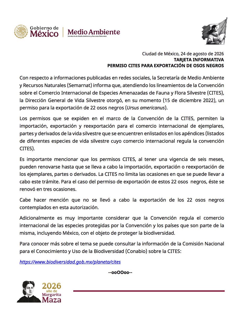YoAmoaLaCiencia's tweet photo. SEMARNAT dice que fueron sólo 22 osos y que nunca salieron de México. ¿Ah, sí? ¿dónde están?

Una semana después de nuestra publicación sobre la exportación de osos, la SEMARNAT de Alicia Bárcena salió con un comunicado para intentar desmentir su propio documento oficial que entregó mediante transparencia.

Dicen que no más eran 22 osos negros, que el permiso se renovó tres veces y que nunca fueron exportados.

Eso no lo dice la información que nos entregaron. Su base los registró como “EXPORTACIÓN DEFINITIVA” y la aclaración de sustitución se refiere al código del permiso que fue reemplazado, no dice que fueran los mismos osos.

Pero no se preocupen, esto se resuelve muy fácil con el identificador individual de cada animal. 

Los osos bajo manejo autorizado deben contar con un sistema de marcaje que permita identificarlos y darles trazabilidad. 

¿Sí tienen registrados los microchips de esos 22 osos en el plan de manejo del “zoológico” de procedencia, verdad?

 Porque no nos van a decir ahora que tampoco pueden identificar a cada oso.

El parche que mandó a poner Bárcena evita explicar ¿Cómo una caballeriza en el Hipódromo Agua Caliente de Tijuana tiene permisos para fauna? ¿Cómo es que mantienen la autorización de este supuesto “zoológico”?

Y convenientemente tampoco dice una palabra de los 2 osos grizzly que en enero de 2026 autorizó para exportación definitiva a Emiratos Árabes Unidos desde el mismo establecimiento.

SEMARNAT no explica dónde están físicamente esos 22 osos, ni de dónde salieron ni qué inspecciones hizo PROFEPA para verificar su estado de salud.

Sobre todo no comparte evidencias sobre el estado actual de esos animales, queremos ver dónde se encuentran y no basta con un comunicado.