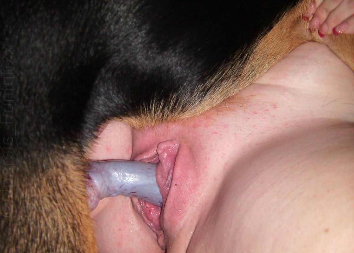 dog_Knotting7's tweet photo. Message me for premium taboo movies 🍆🐶❤️ 
https://t.co/muGGcmZv00
Cumslut dogmom 🐶🍑💦
#sunsetvibes #pizzaaddict #pizzalover
#USA2026 #AUSummit2026 #gay
#hotnude #nsfwaa #seduce #nude #nudity #masturbating https://t.co/Zhgohq8NX7