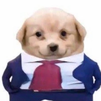 Veryimpup's tweet photo. @OnlyLJC Have you heard about Very Important Pup on Solana? https://t.co/nEaJHyUsVE