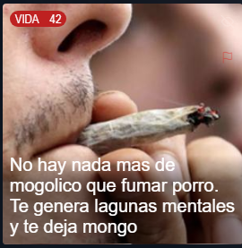 DevoxPosting's tweet photo. Te genera lagunas mentales y deterioro cognitivo. A largo plazo te deja mogolico incluso en ocasiones te puede empezar a hacer desvariar cada vez mas feo. Cuando te queres dar cuenta ya le estas chupando la pija o el orto a un traba

Lo mejor es evitarlo y comenzar algun tipo de terapia seria que este asociada con la ciencia medica

Tener que tratar con dealers y fisuras tambien empeora la situacion